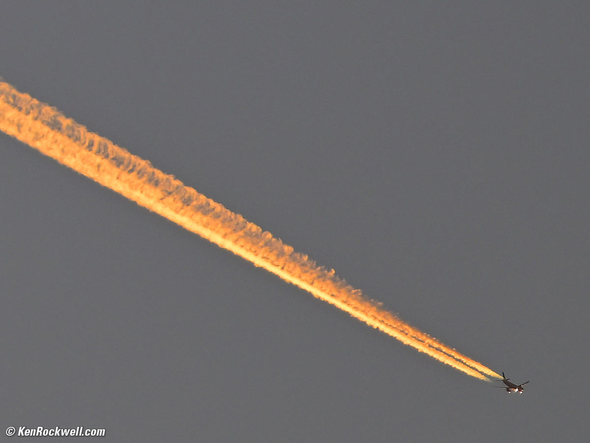 Nikon Z 180-600mm VR Sample Image File