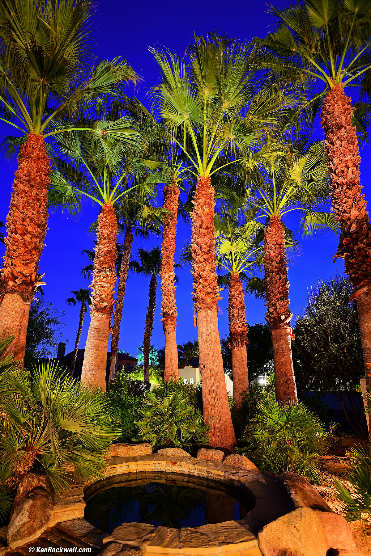 Nikon Z 20mm f1.8 sample image file