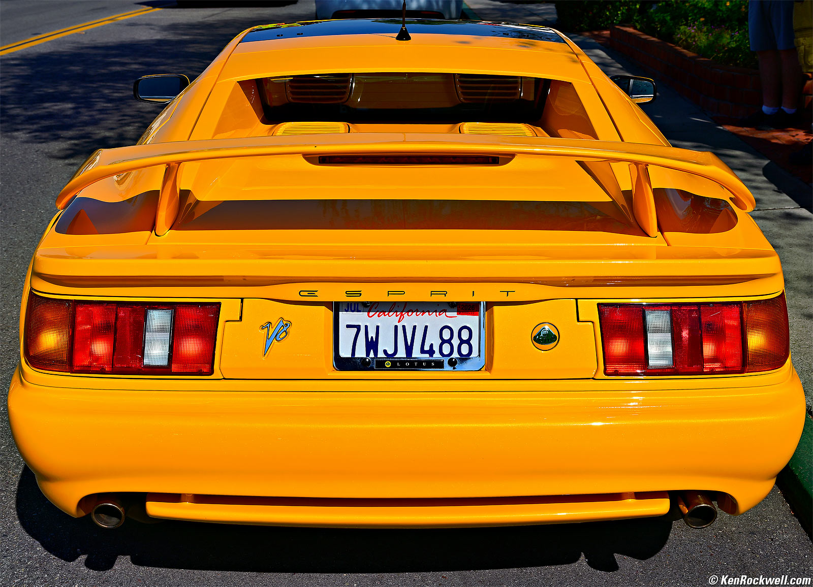 Nikon Z5 II and Z 24-105mm Sample Image FIle