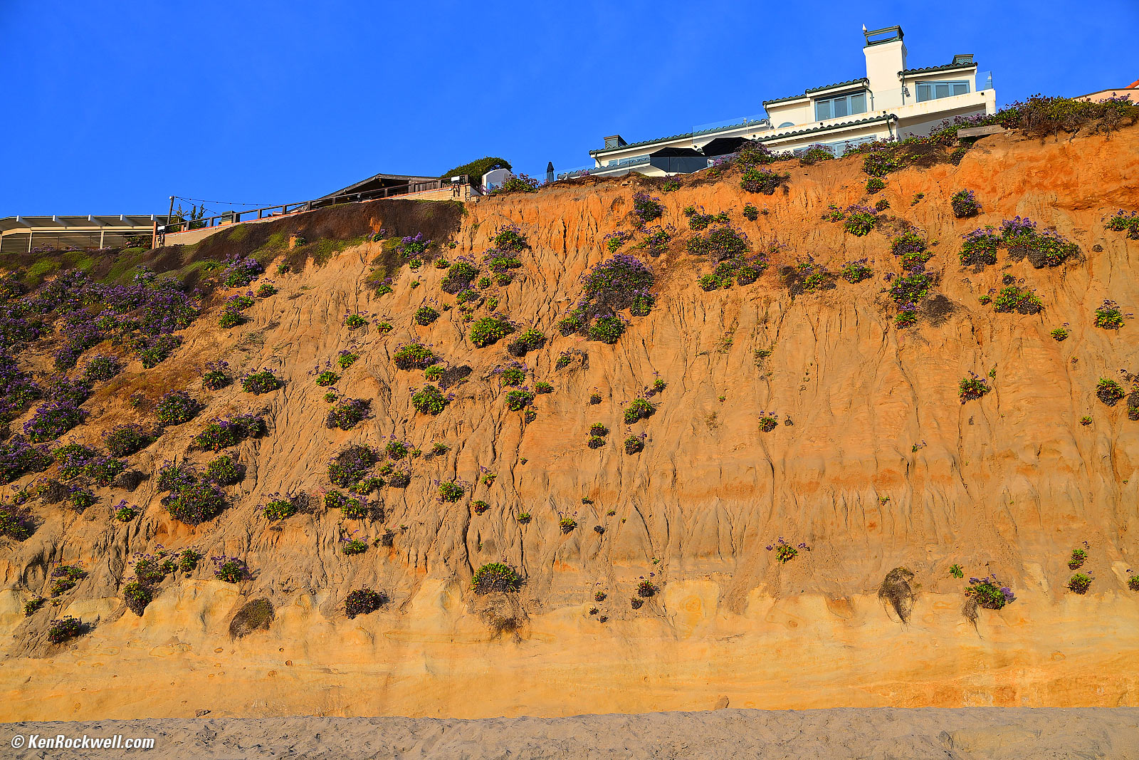 Nikon Z5 II and Z 24-105mm Sample Image FIle