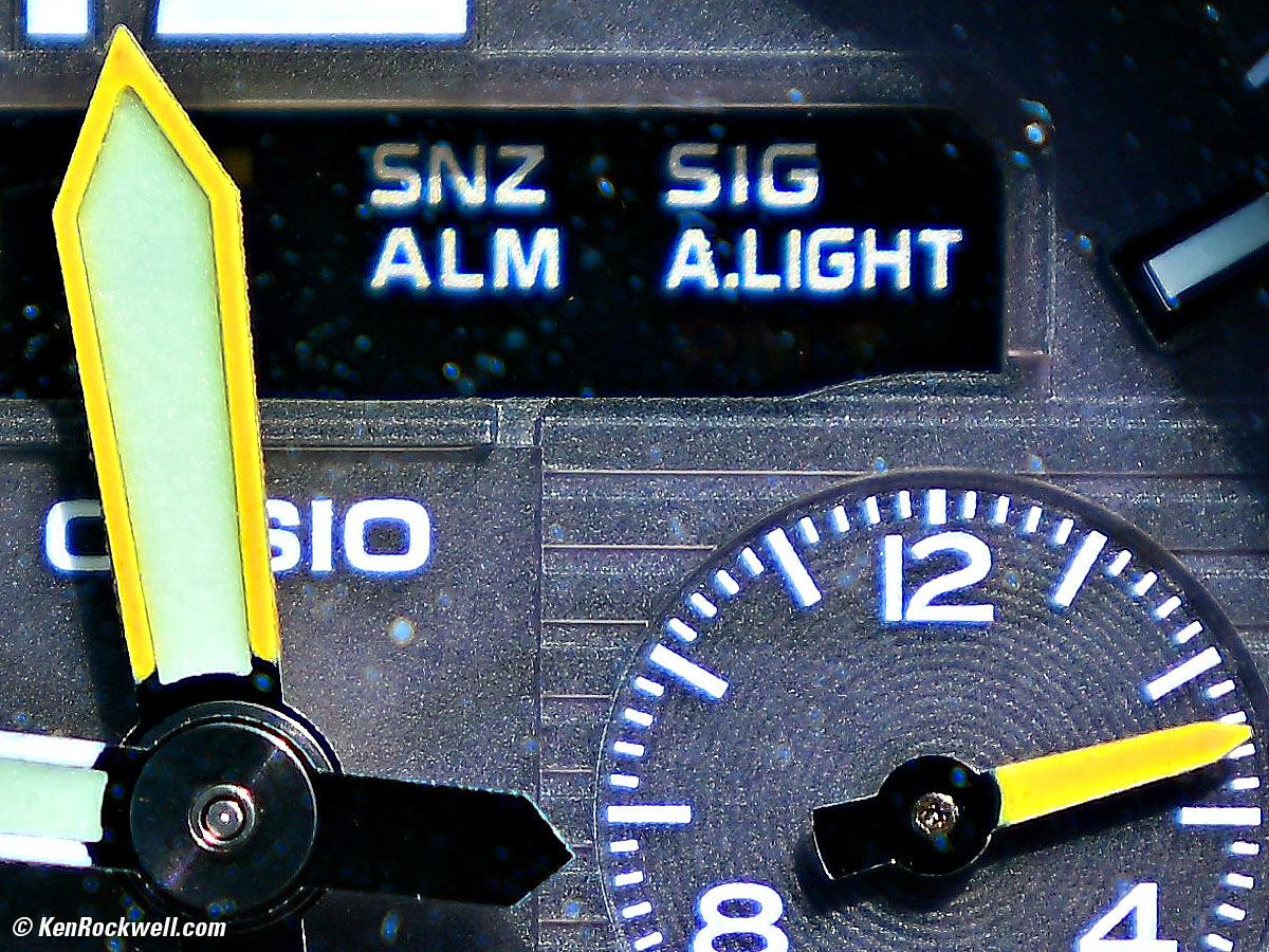 Nikon Z 24-105mm Macro Sample Image File