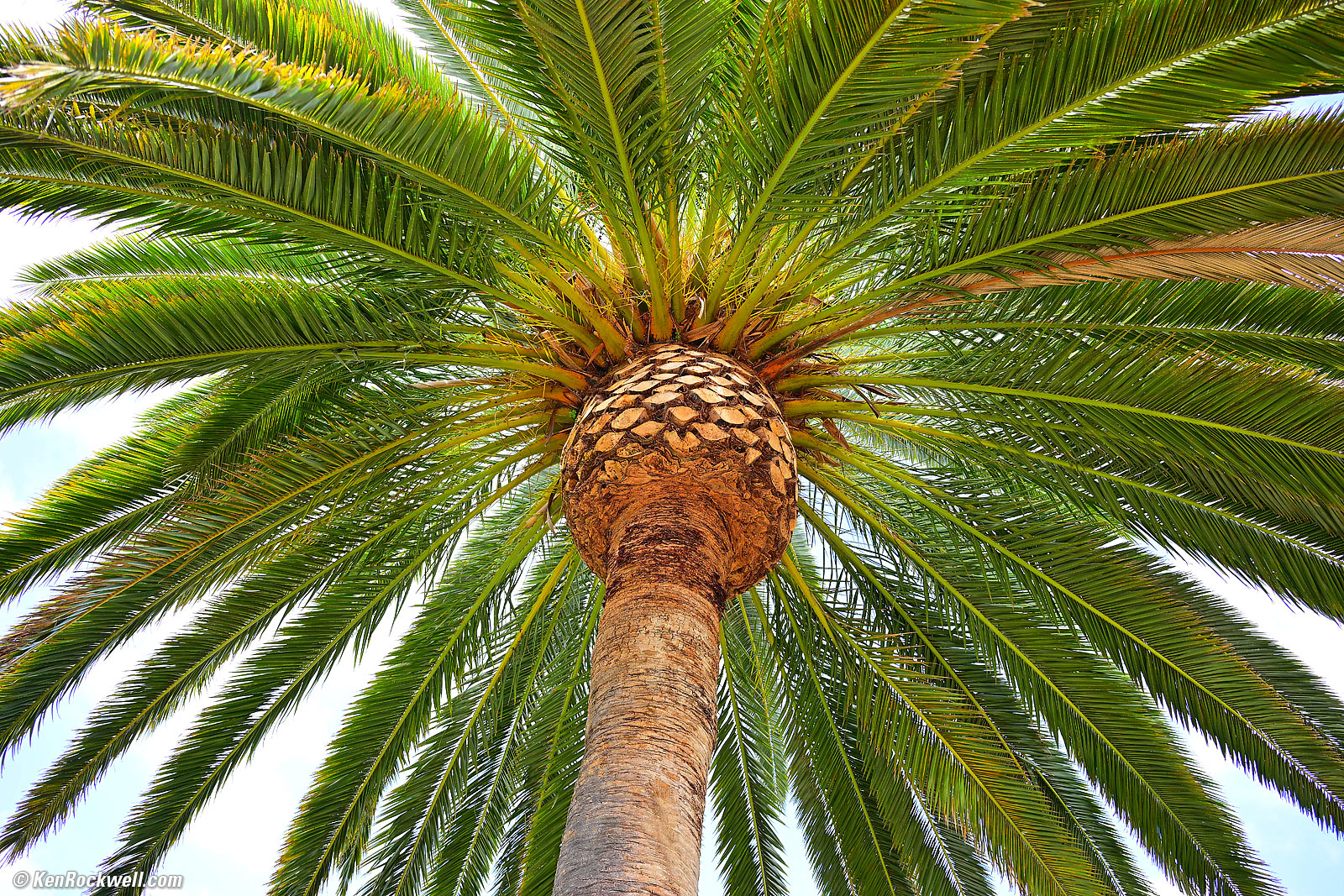 Nikon Z 24-120mm Sample Image File