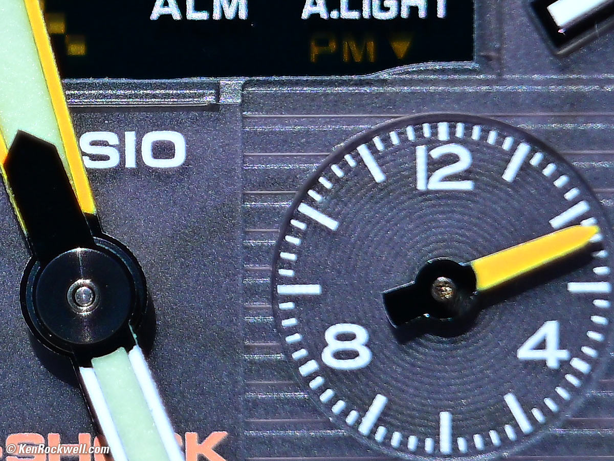 Nikon Z 24-120mm f/4 Macro Performance Sample Image File