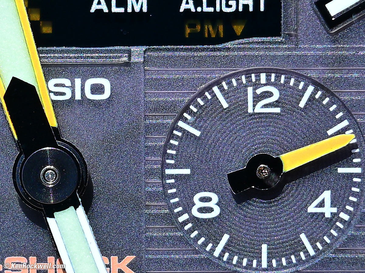 Nikon Z 24-120mm f/4 Macro Performance Sample Image File