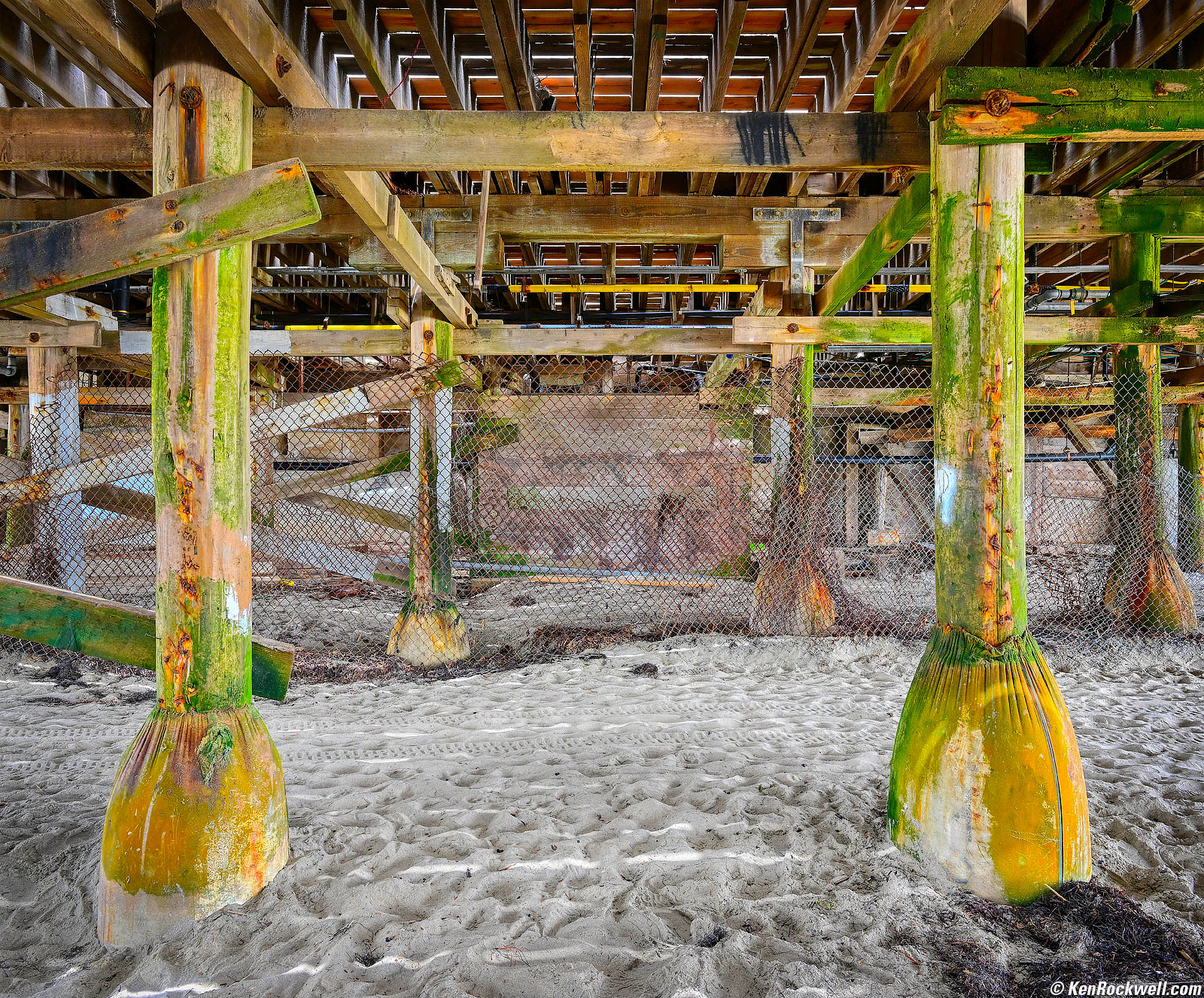 Nikon Z 24-120mm Sample Image File