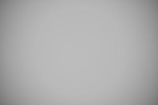 Nikon Z 24-200mm falloff