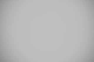 Nikon Z 24-200mm falloff