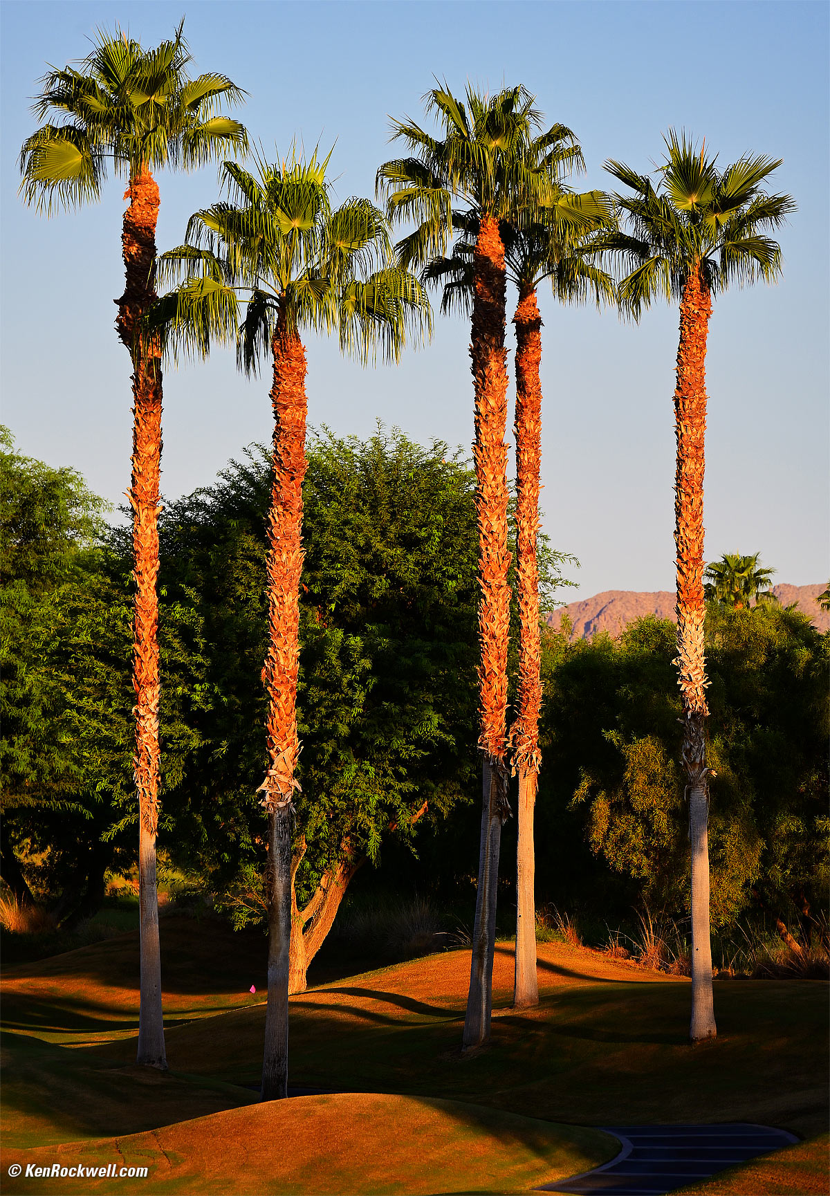 Nikon Z 24-200mm Sample Image File