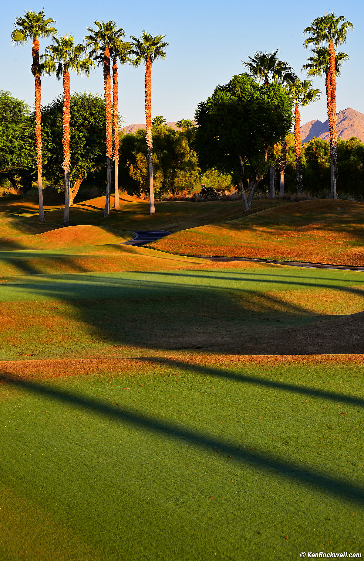 Nikon Z 24-200mm Sample Image File