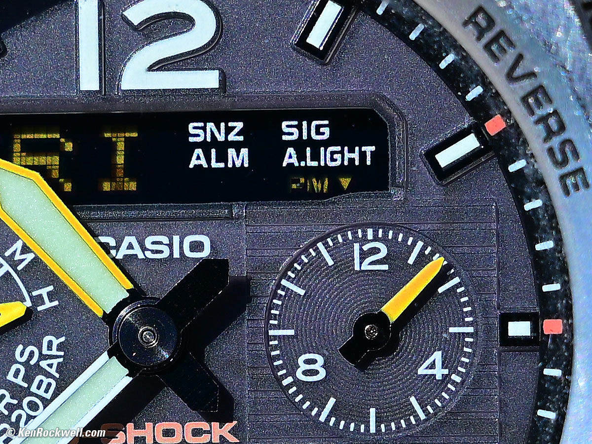 Nikon Z 24-70mm f/2.8 II Macro Performance Sample Image File