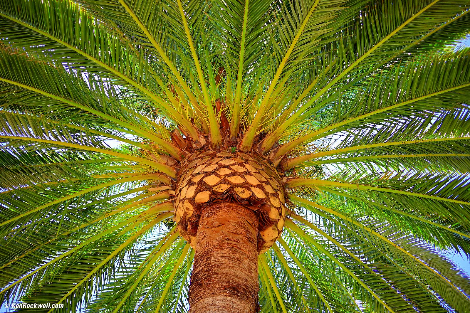 Nikon Z 24mm f/1.7 DX sample image