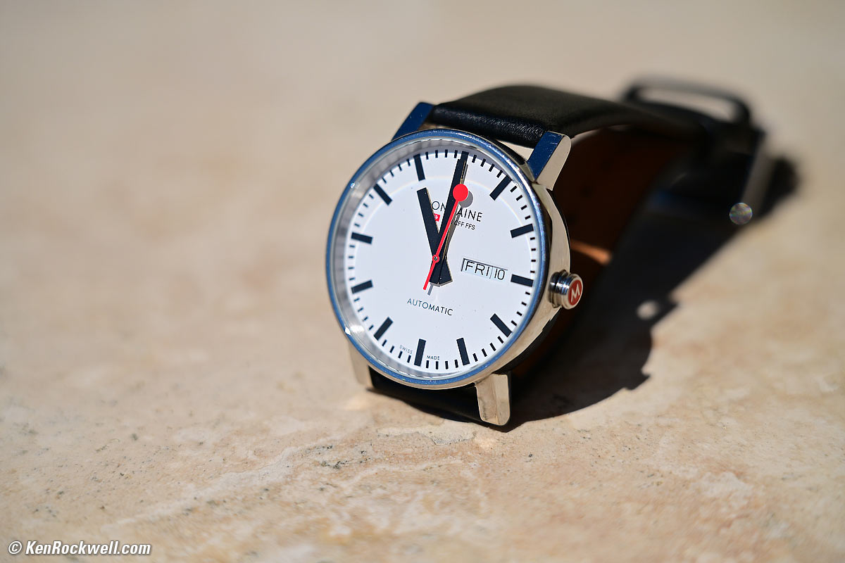Nikon Z 28-135mm f/4 PZ Macro Sample Image File