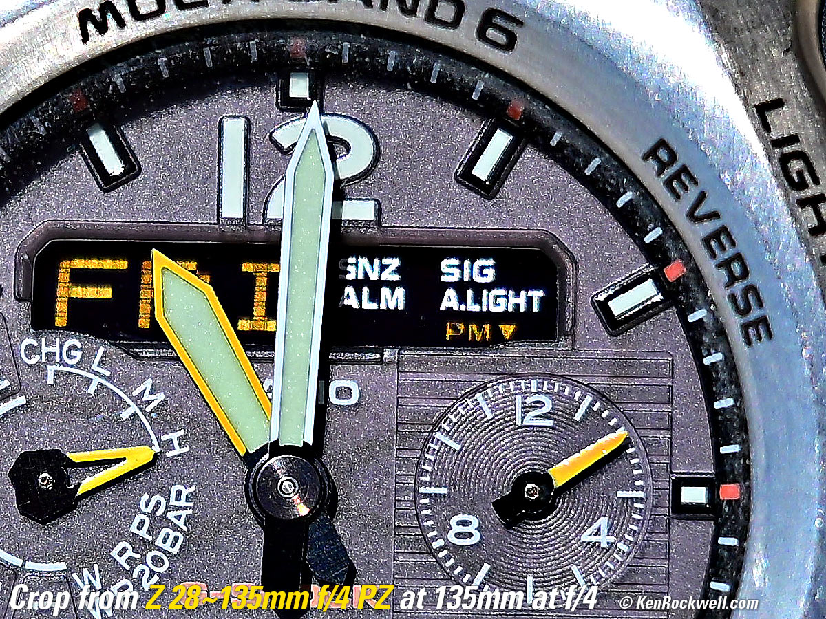 Nikon Z 28-135mm f/4 PZ Macro Sample Image File