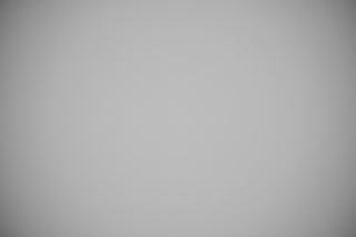 Nikon Z 28-400mm VR falloff