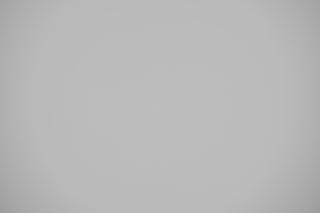 Nikon Z 28-400mm VR falloff