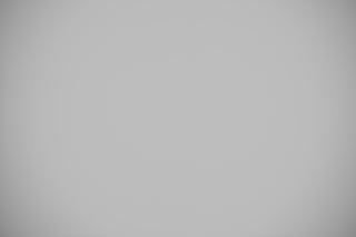 Nikon Z 28-400mm VR falloff