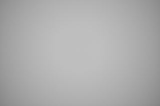 Nikon Z 28-400mm VR falloff