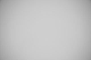 Nikon Z 28-75mm f/2.8 falloff