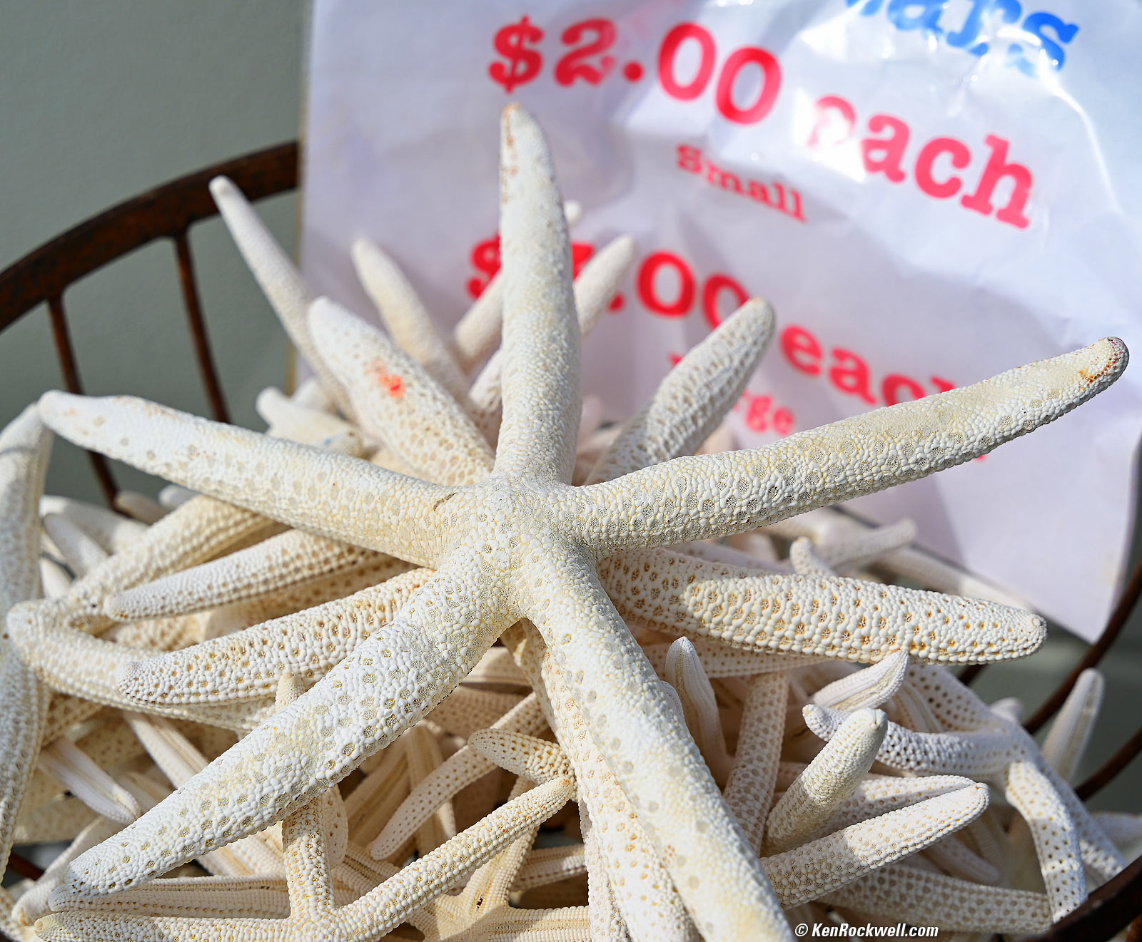 Nikon Z 28-75mm f/2.8 Bokeh Sample Image File