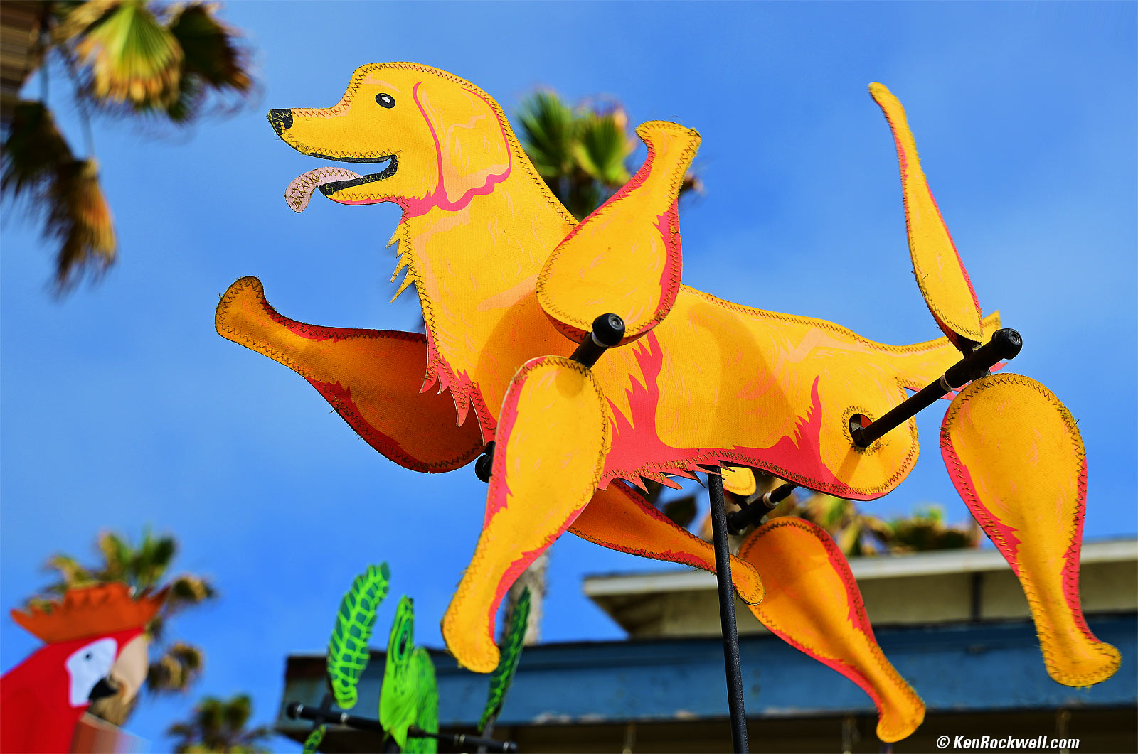 Nikon Z 28-75mm f/2.8 Bokeh Sample Image File