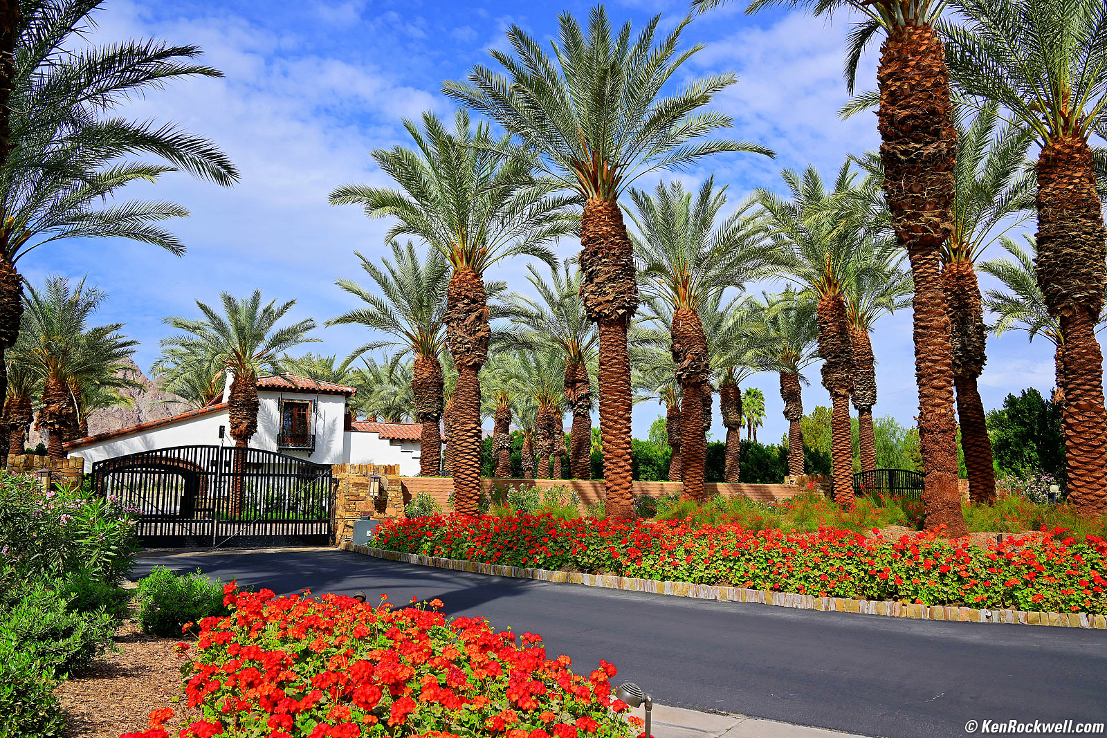 Nikon Z 28mm f/2.8 SE Sample Image File