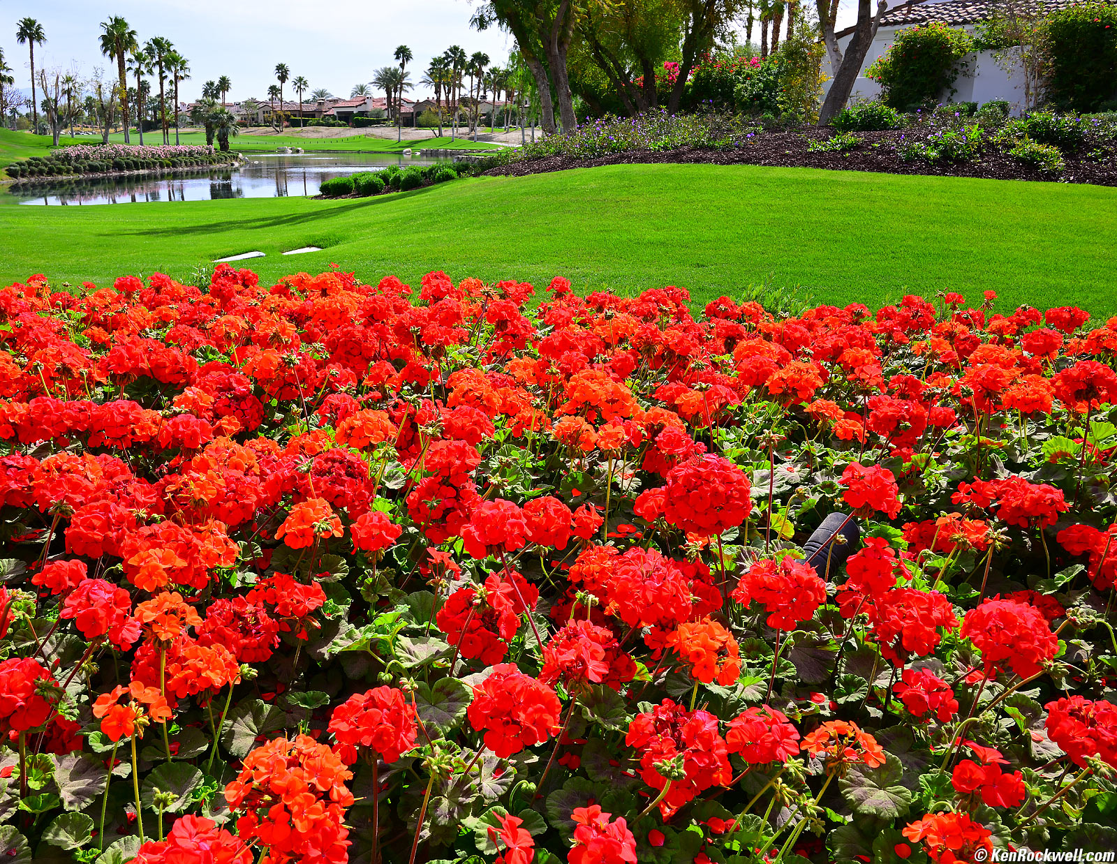 Nikon Z 28mm f/2.8 SE Sample Image File