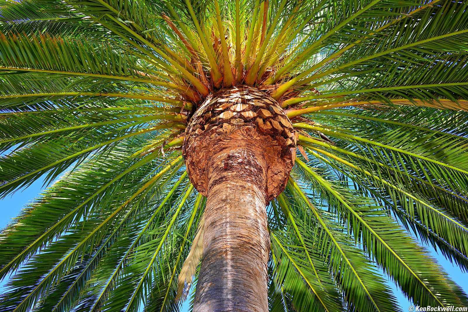 Nikon Z 28mm f/2.8 Sample Image File