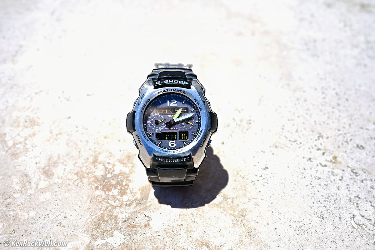 Nikon Z 35mm f/1.2 Macro Performance Sample Image