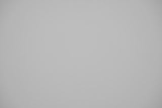 Nikon Z 35mm f/1.2 falloff sample image