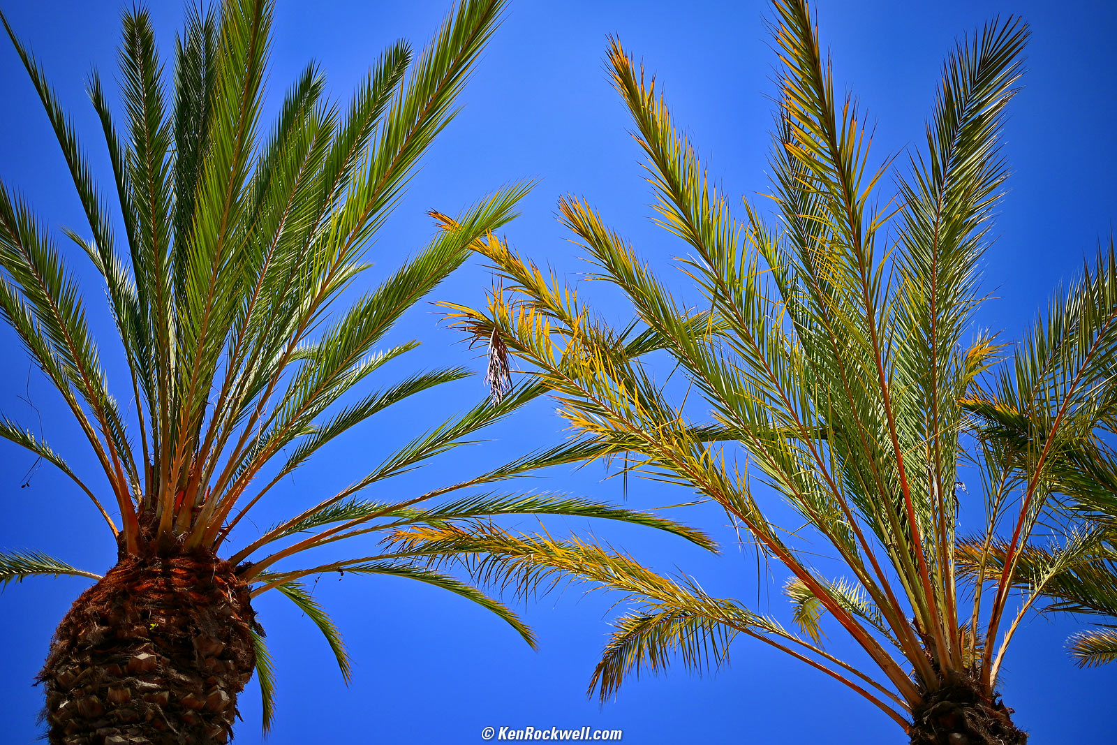 Nikon Z 35mm f/1.4 Sample Image