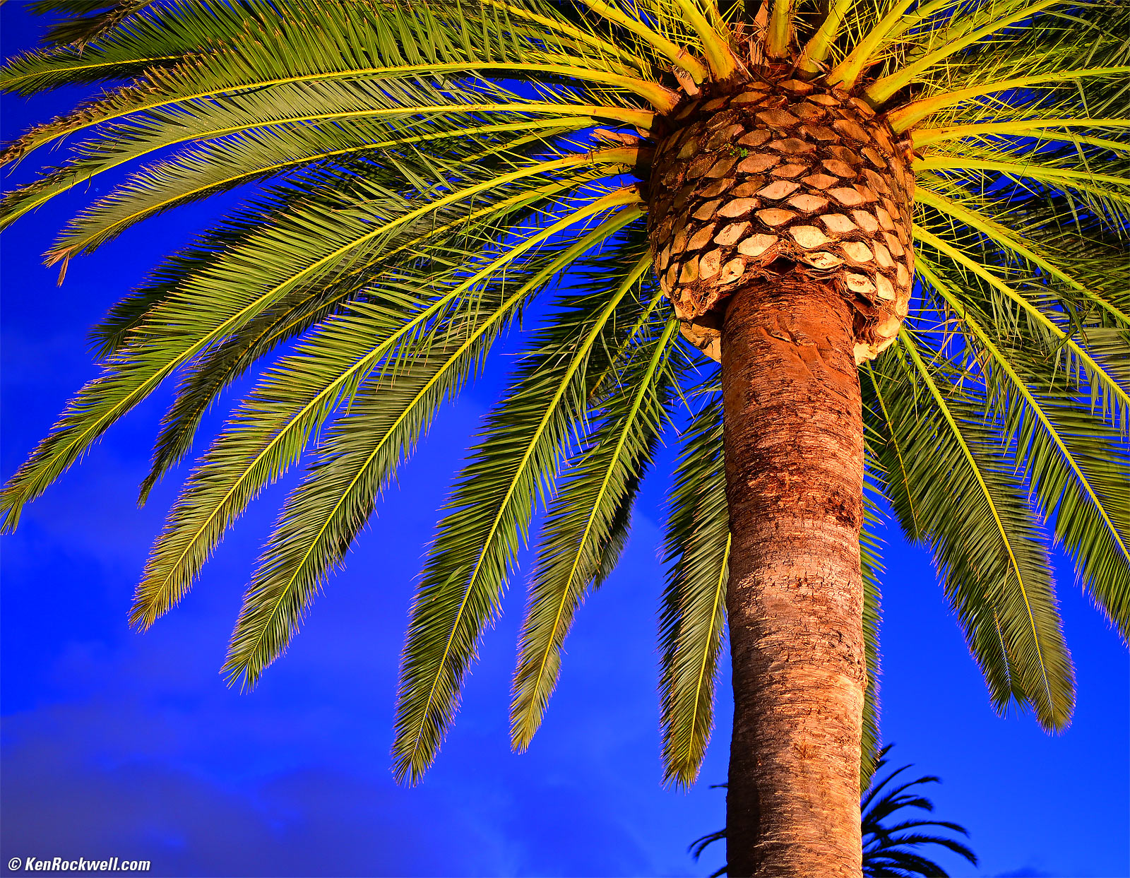 Nikon Z 35mm f/1.4 Sample Image