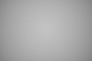 Nikon Z 400mm f/4.5 VR falloff