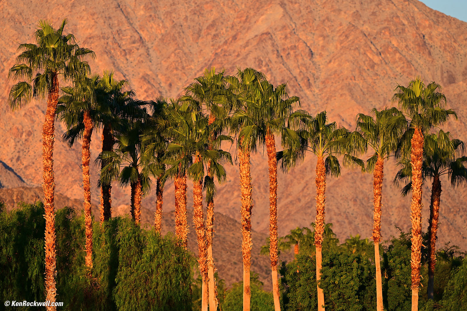 Nikon Z 400mm f/4.5 VR Sample Image File