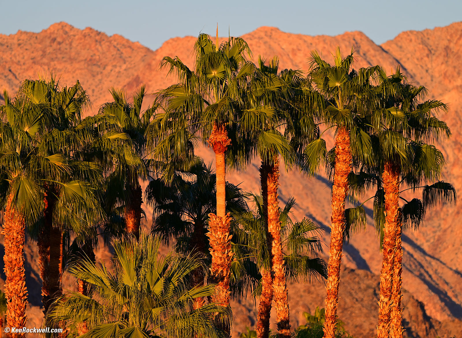 Nikon Z 400mm f/4.5 VR Sample Image File