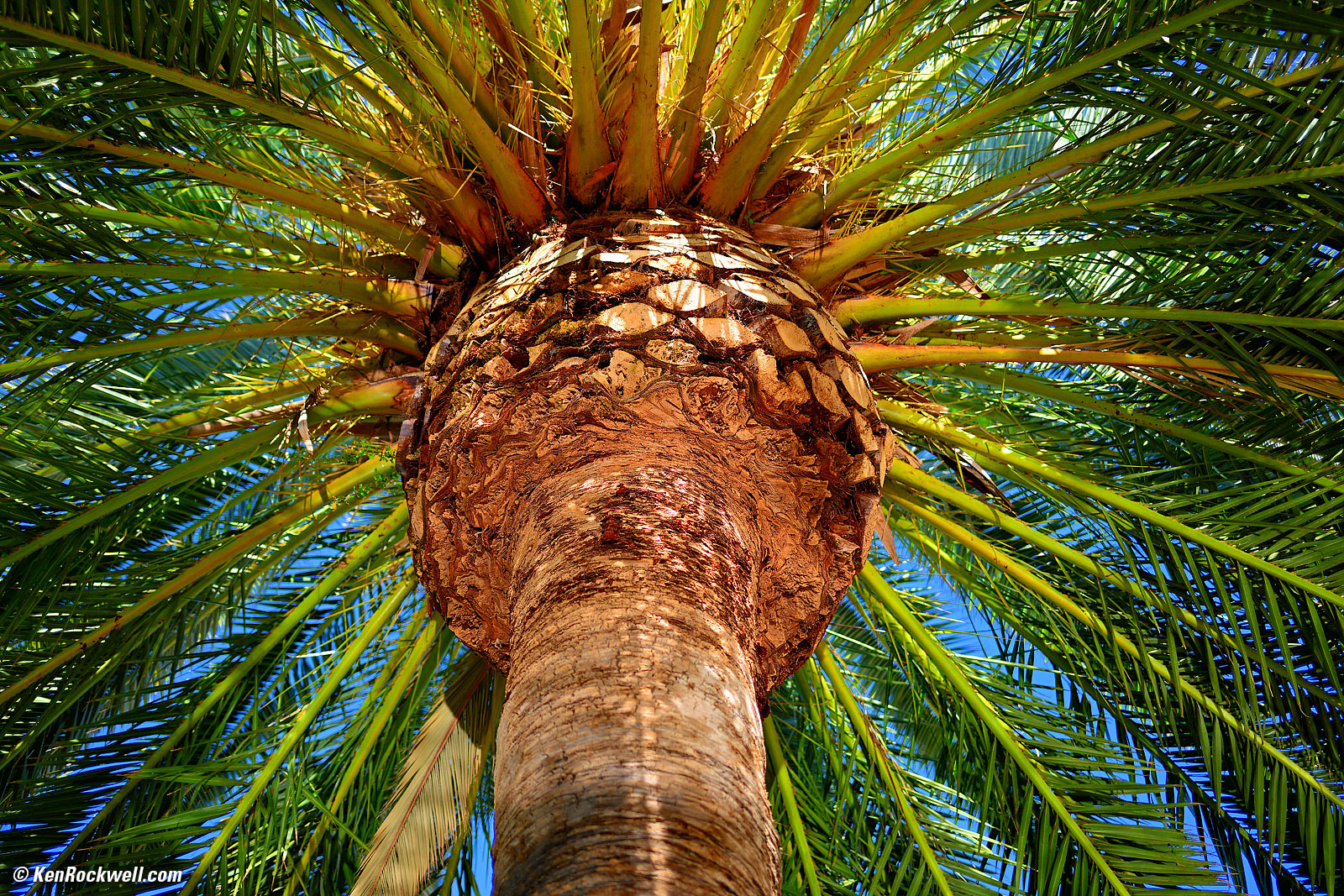 Nikon Z 40mm f/2 Sample Image