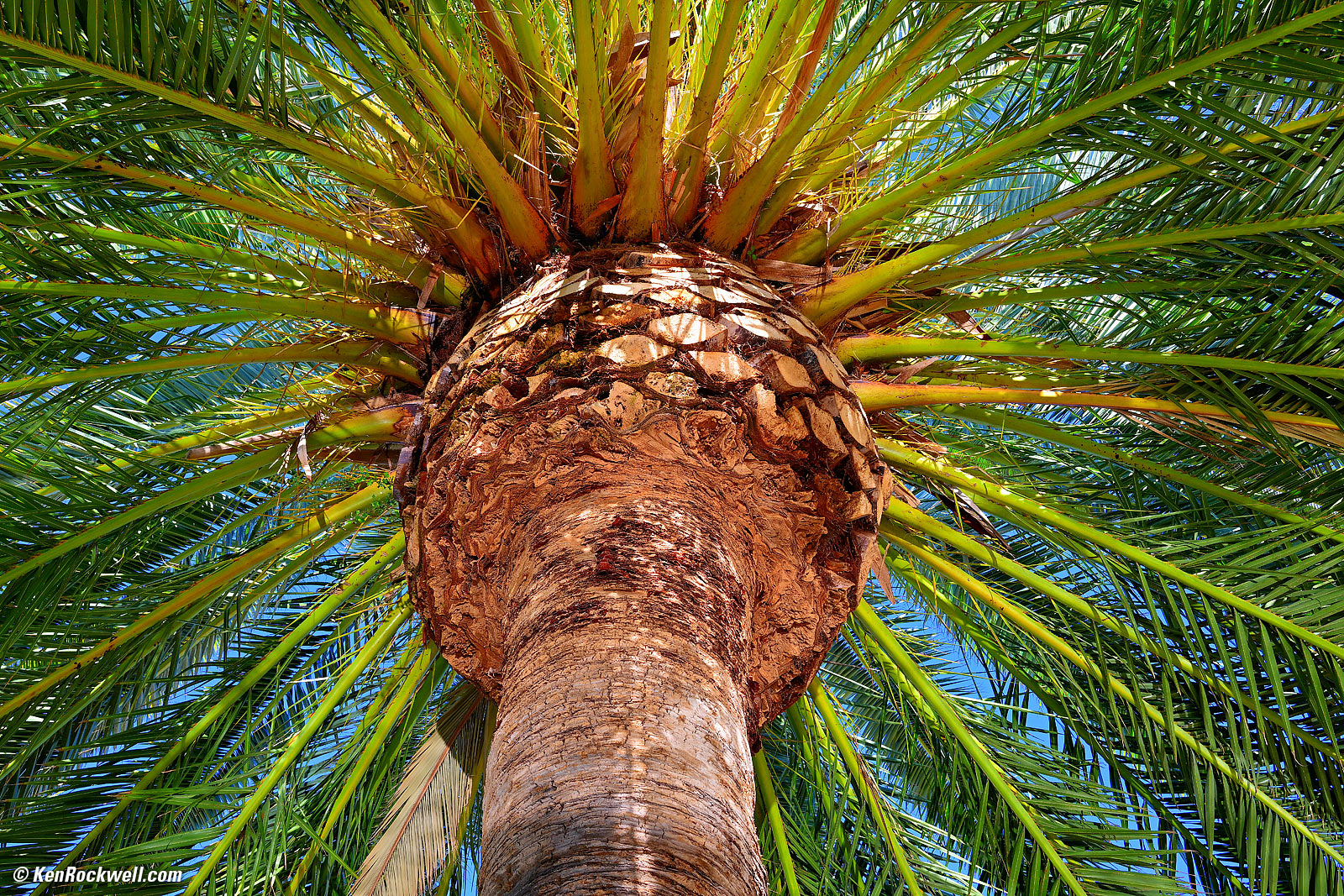 Nikon Z 40mm f/2 Sample Image