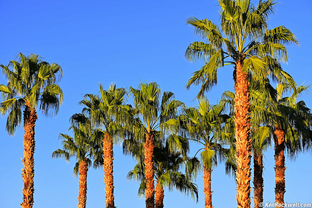 Nikon Z 50-250mm sample image file