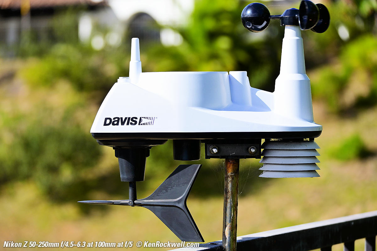 Nikon Z 50-250mm Bokeh Sample Image