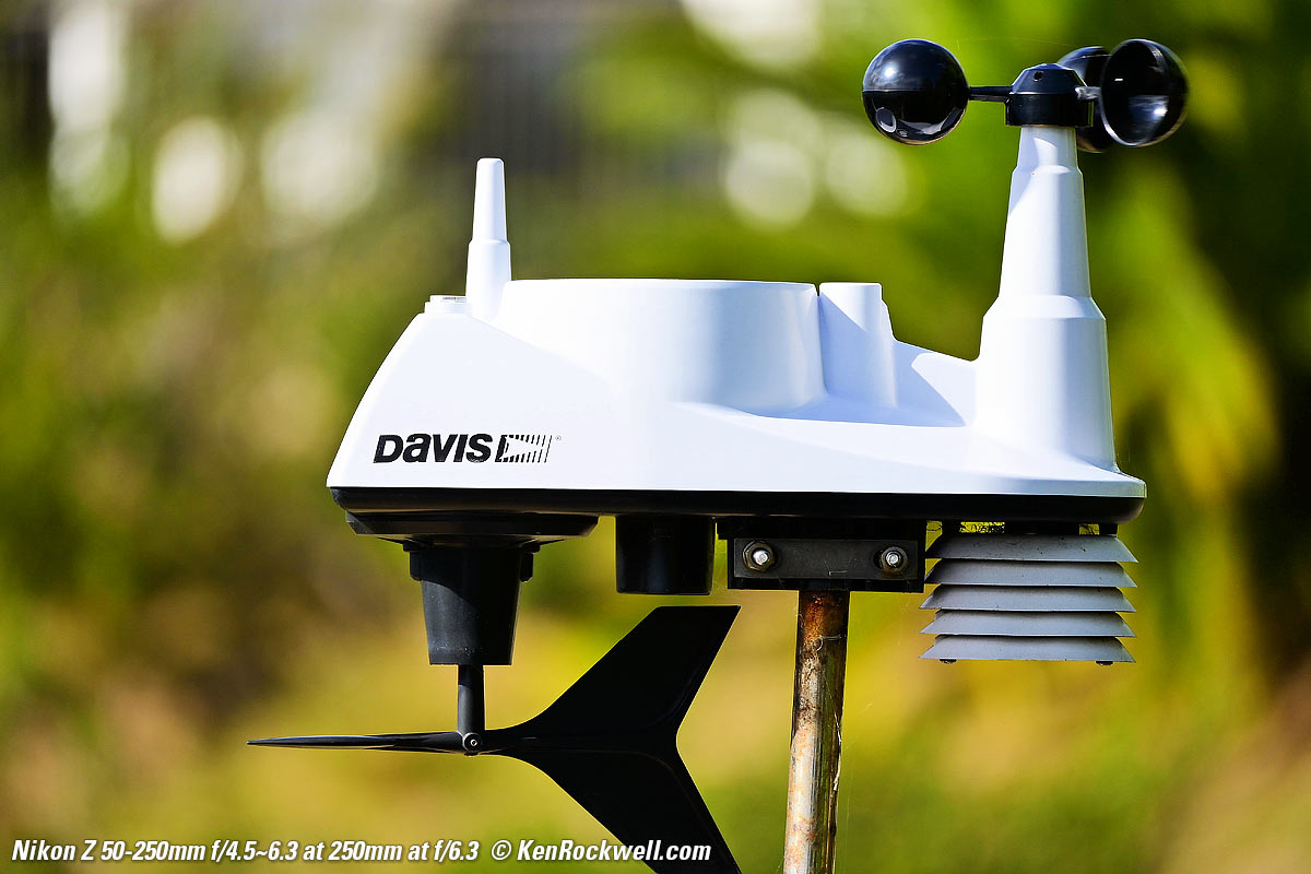 Nikon Z 50-250mm Bokeh Sample Image