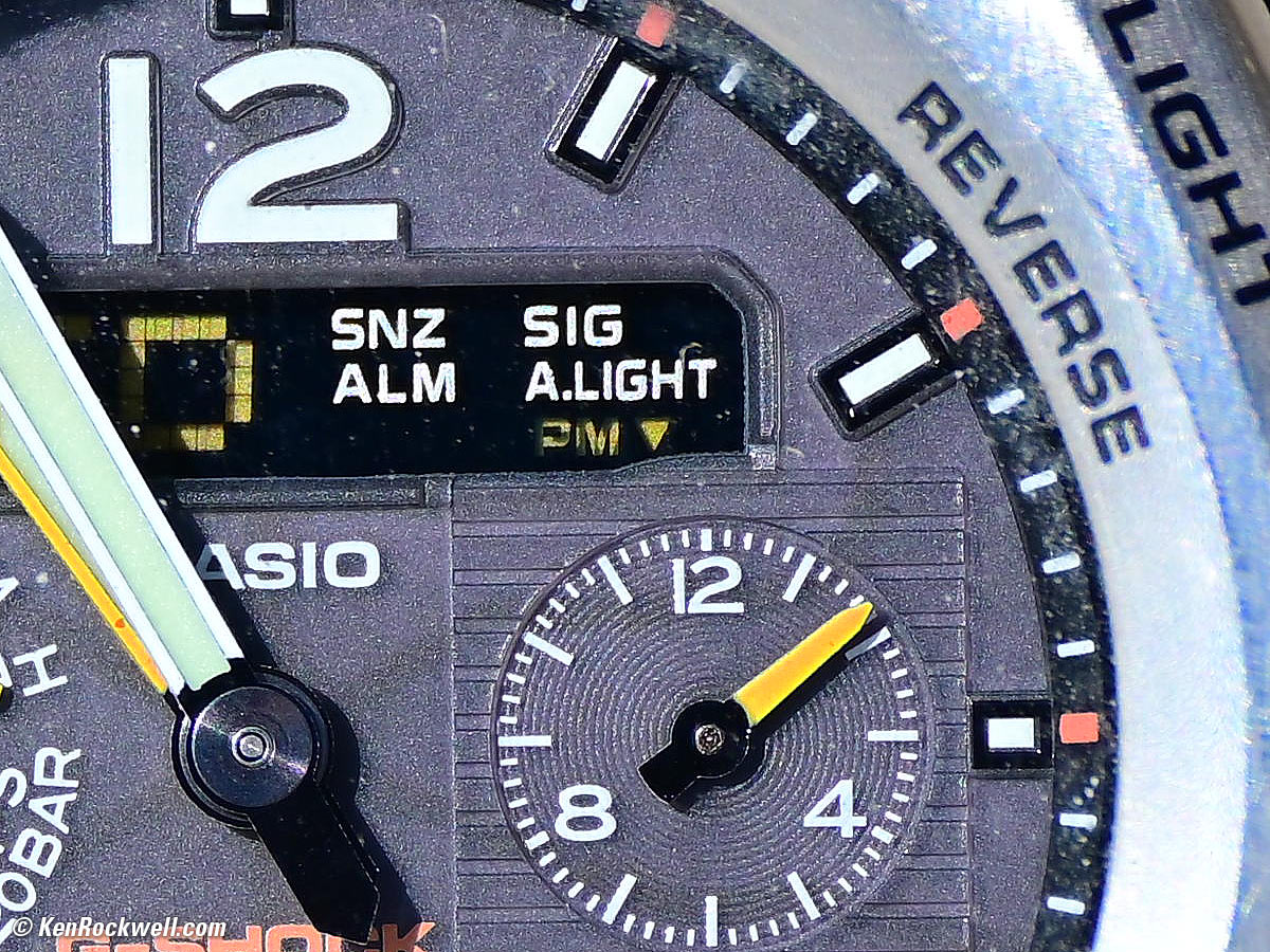 Nikon Z 50-250mm Macro Performance