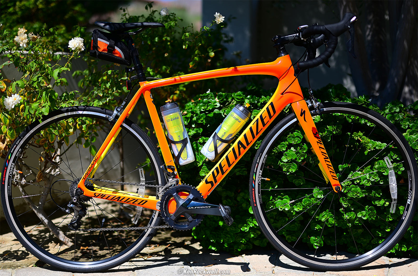 Nikon Z 50mm f/1.2 Sample Image