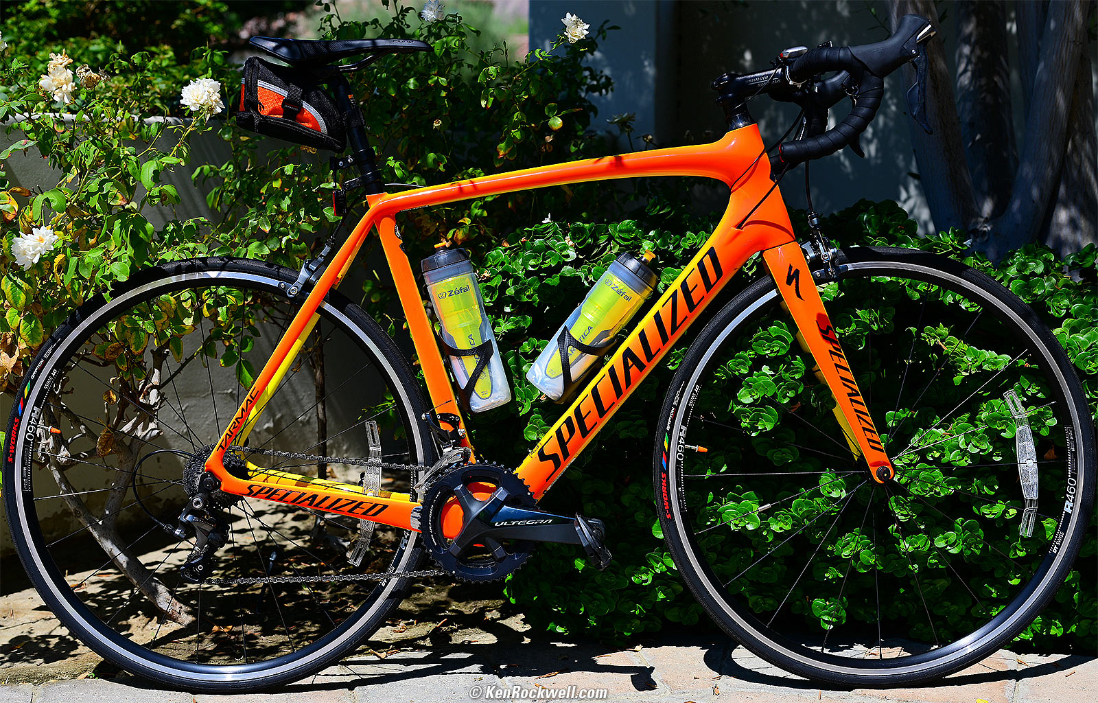 Nikon Z 50mm f/1.2 Sample Image