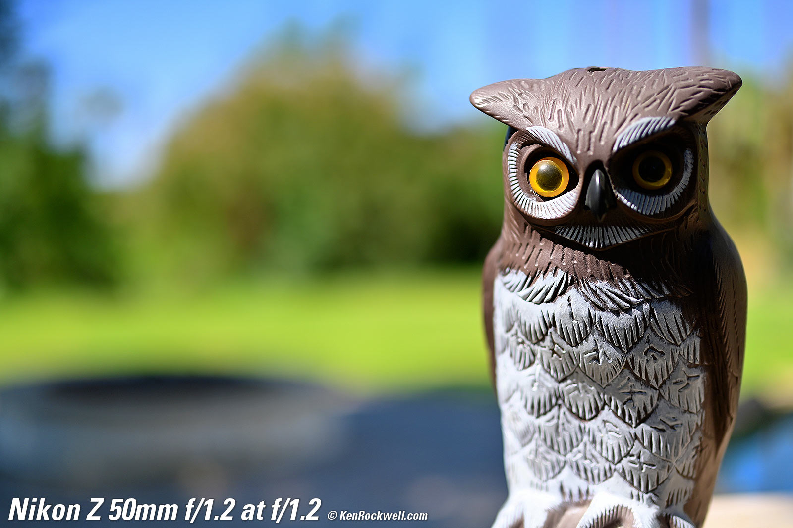 Nikon Z 50mm f/1.2 Bokeh