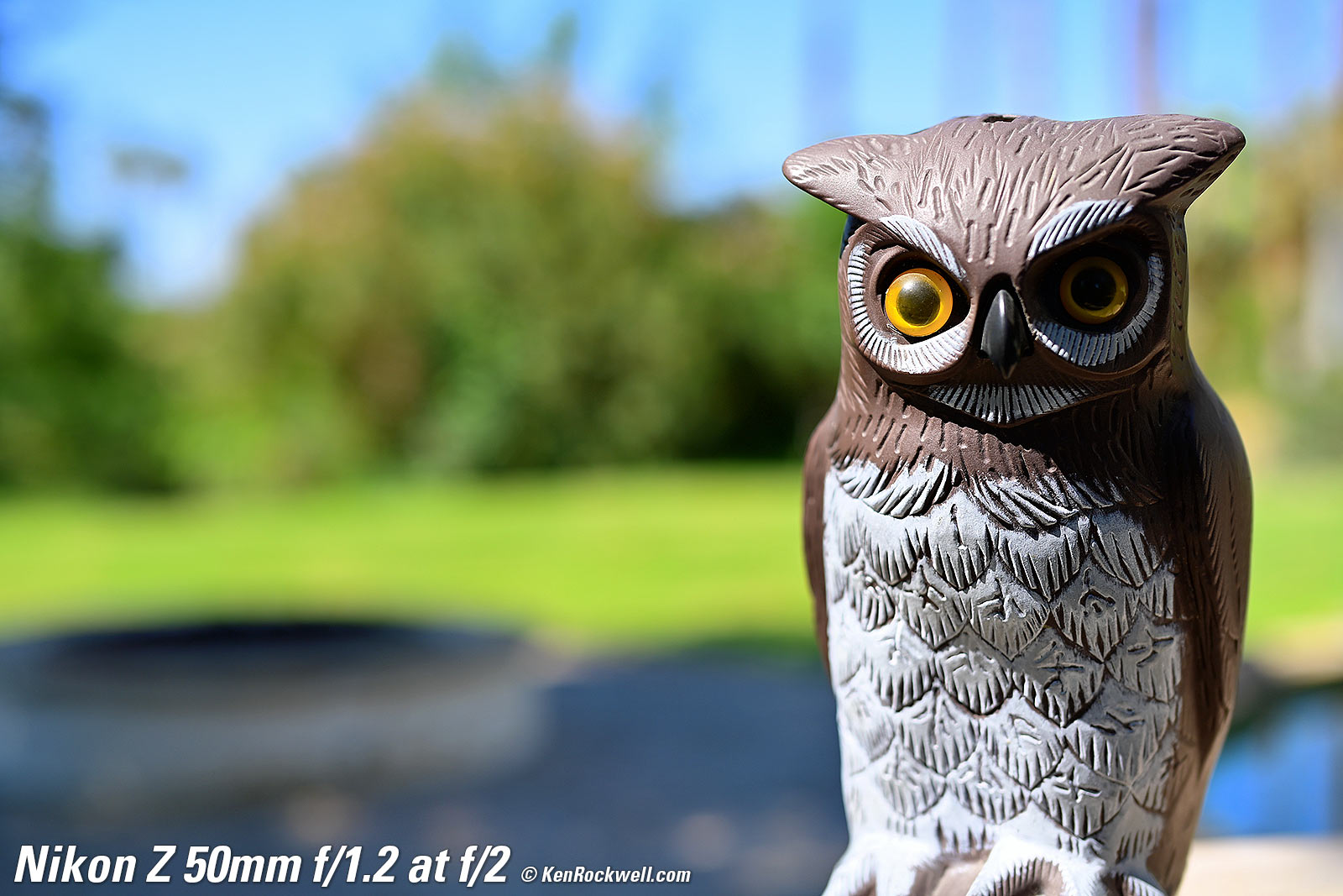 Nikon Z 50mm f/1.2 Bokeh