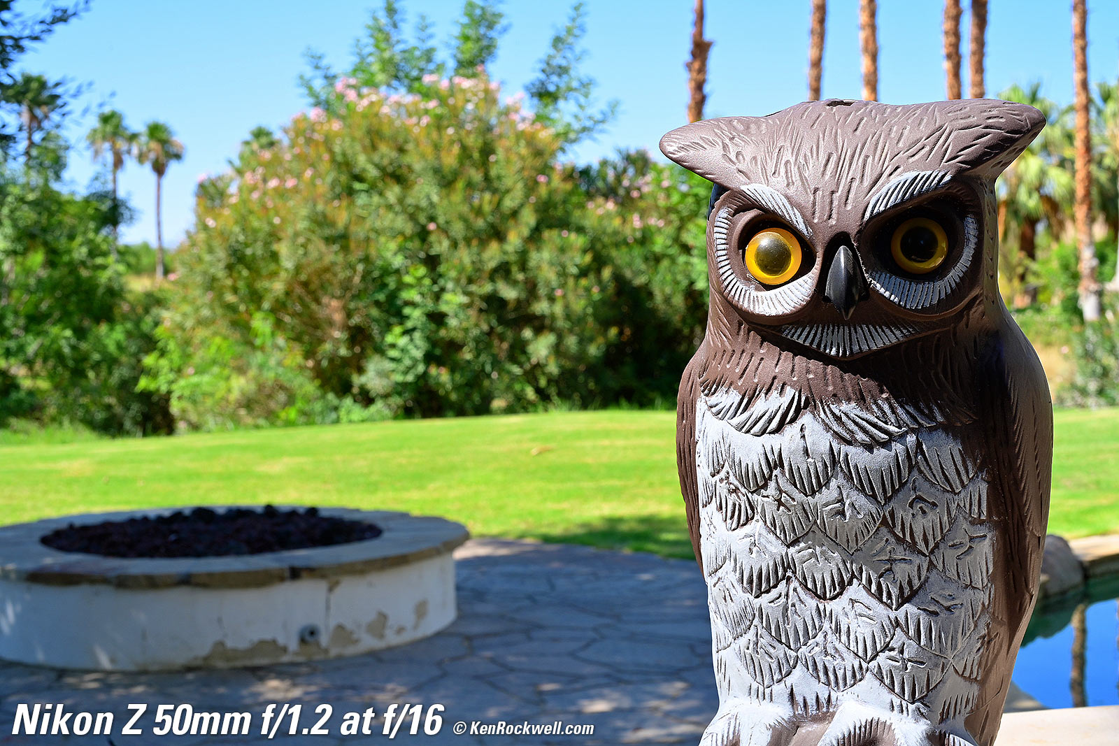 Nikon Z 50mm f/1.2 Bokeh