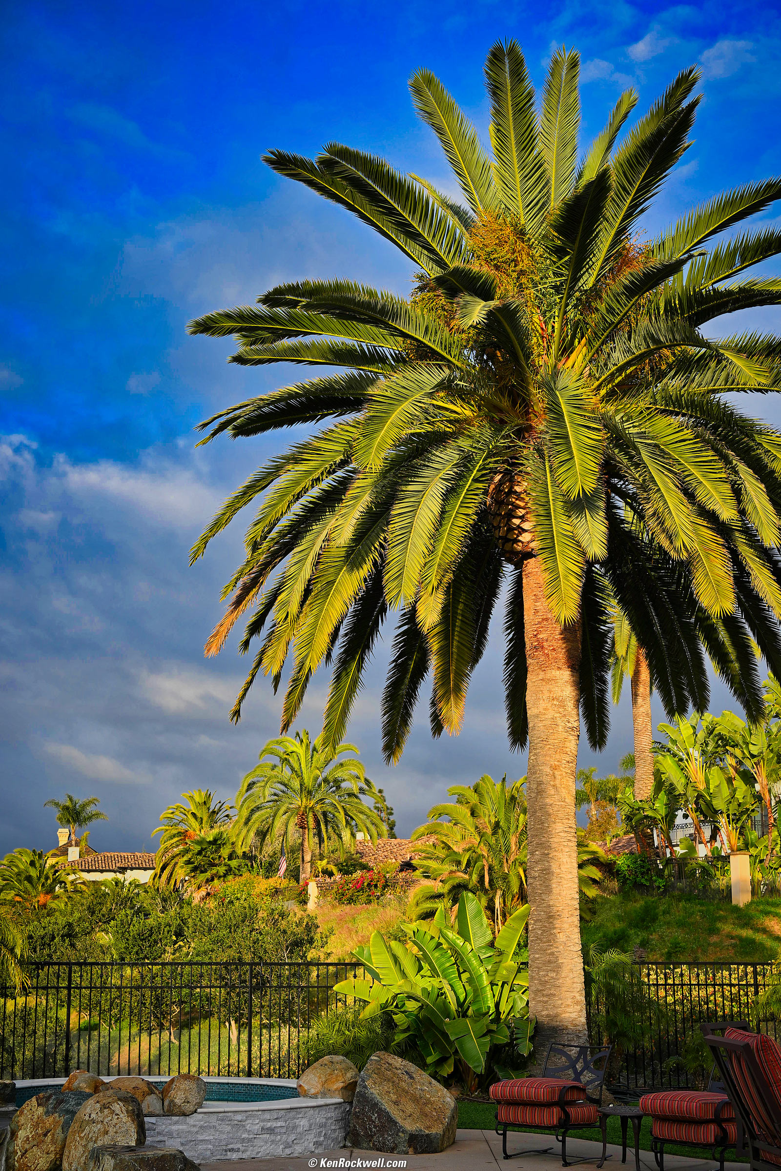 Nikon Z 50mm f/1.4 Sample Image File