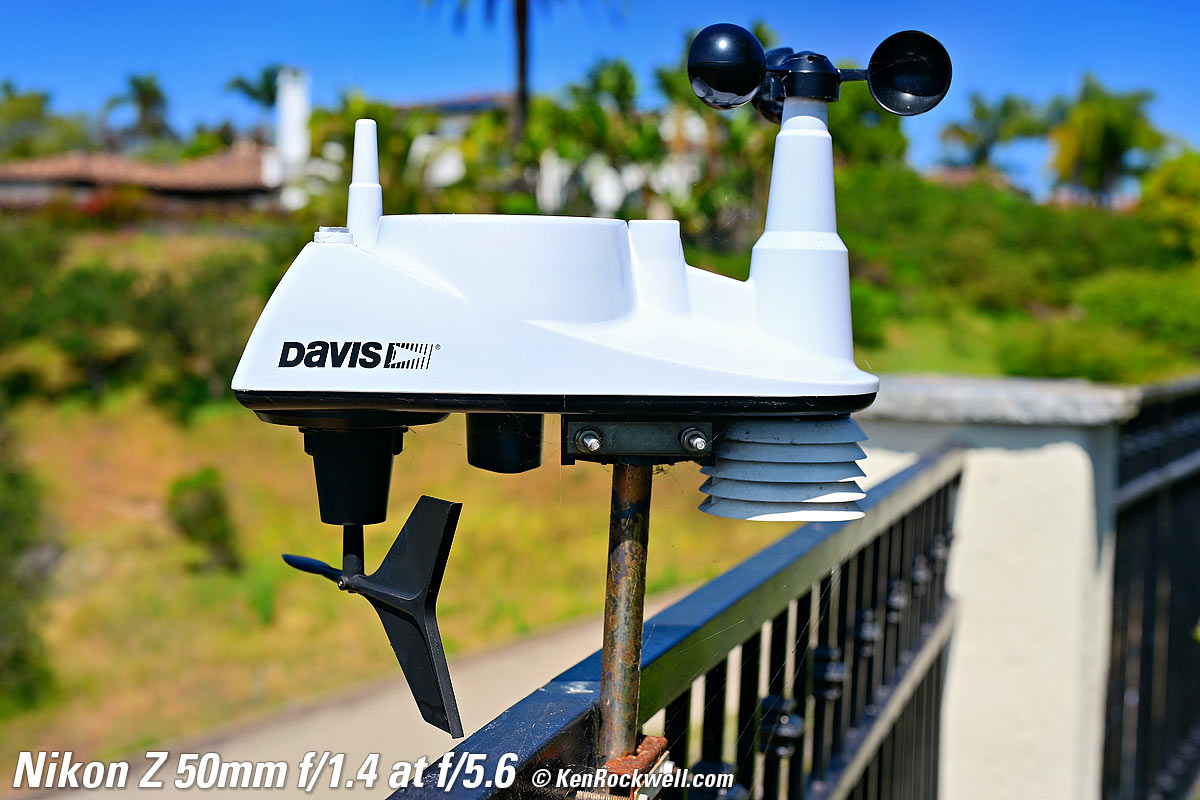 Nikon Z 50mm f/1.4 Bokeh Sample Image File