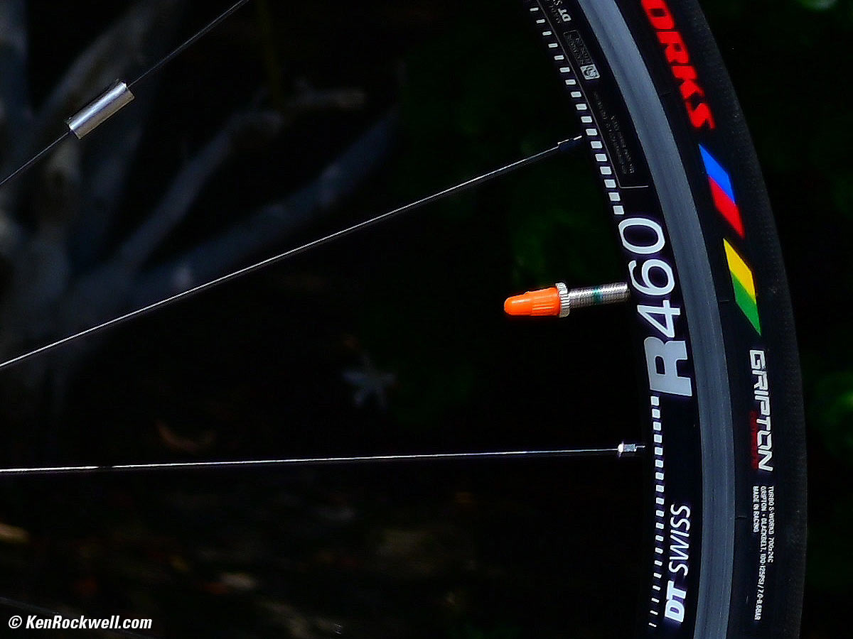 Nikon Z 50mm f/2.8 Sample Image File