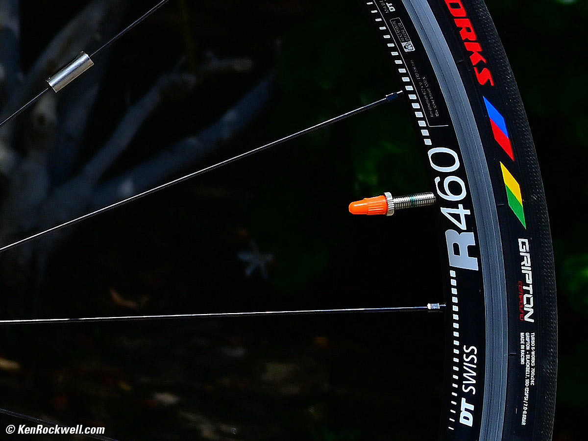 Nikon Z 50mm f/2.8 Sample Image File