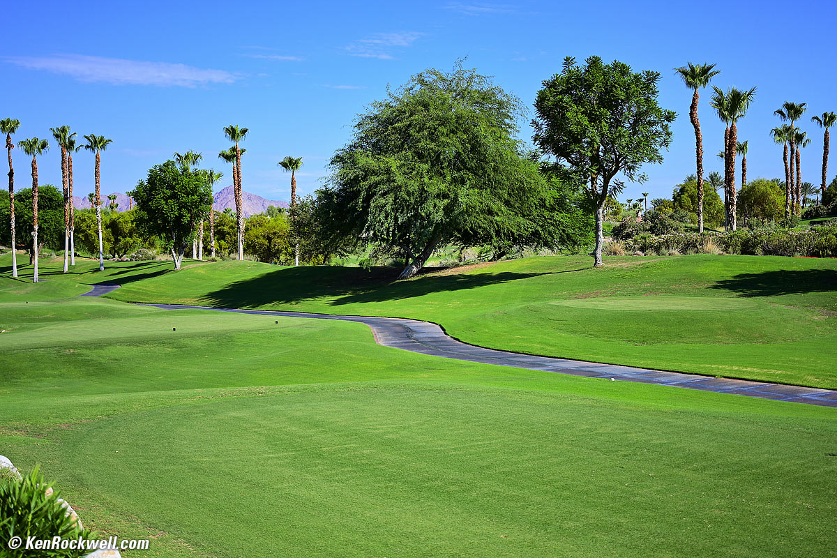 Nikon Z 50mm f/2.8 Sample Image File